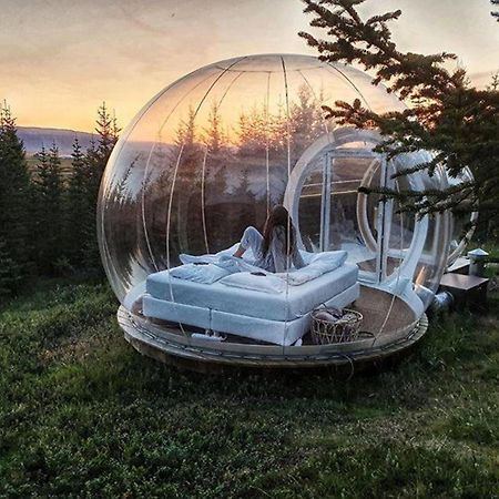 Buubble Hotel - Oelvisholt Selfoss Exterior foto