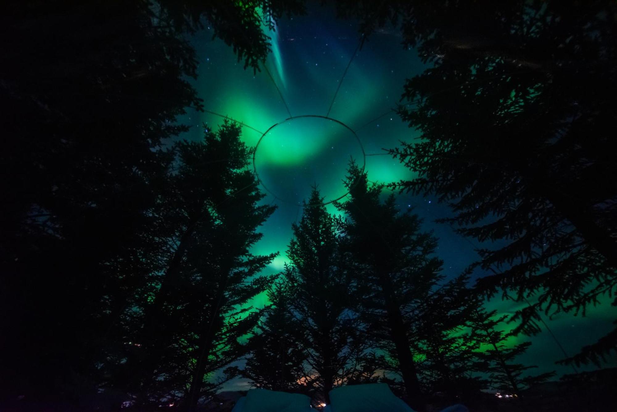 Buubble Hotel - Oelvisholt Selfoss Exterior foto